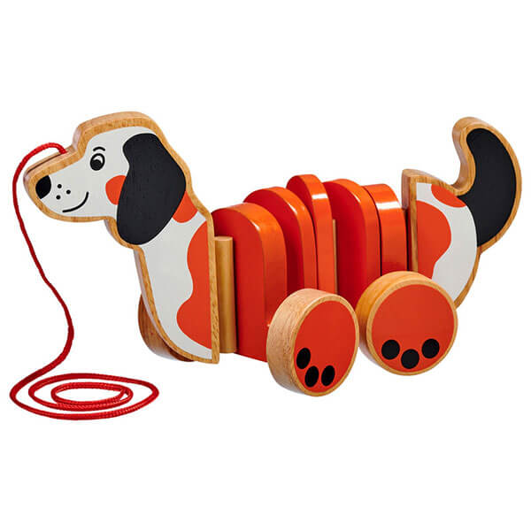 Nachziehtier Hund